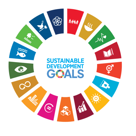 IUB SDGs Portal
