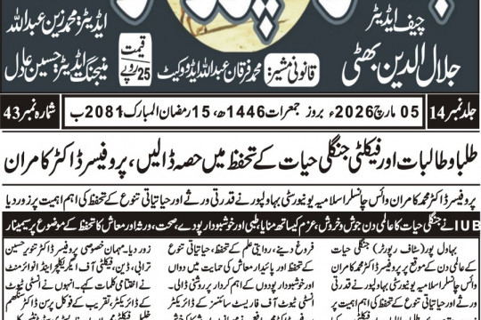 News Cuttings 05 March 2026