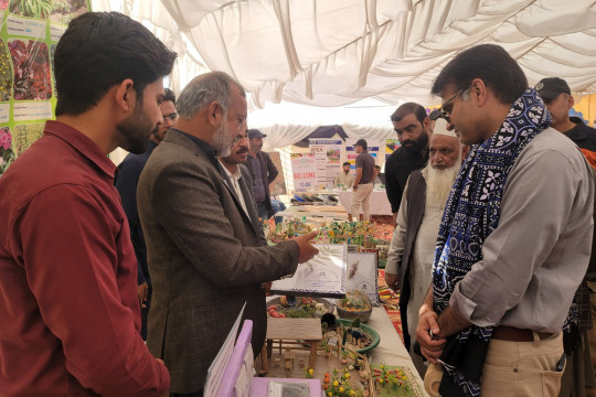 IUB conducts a number of product expos at the 20th International Cholistan Desert Jeep Rally and Cultural Festival, 2025