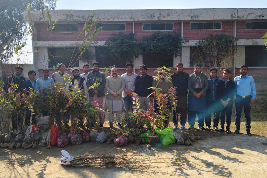 Tree plantation campaign organized by IUB Environmental Protection Society at the Bahawalnagar Campus