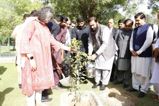 Planting a Tree by Honorable Governor Punjab and Chancellor IUB