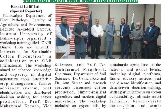 News Cuttings 24 May 2026