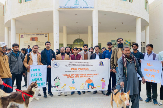 IUB organized “Paw Parade” a walk in support of animal welfare