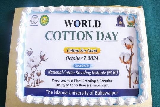 World Cotton Day 2024 Celebrated at National Cotton Breeding Institute, IUB