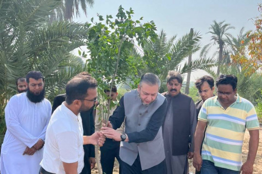 IUB Inaugurates 2nd Phase of Horticulture orchards to Promote Horticultural Research and Commercial Fruit Production