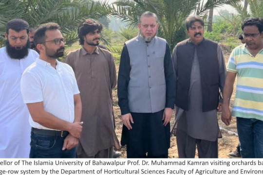 VC IUB Prof. Dr. Muhammad Kamran visiting orchards based on the hedge-row system
