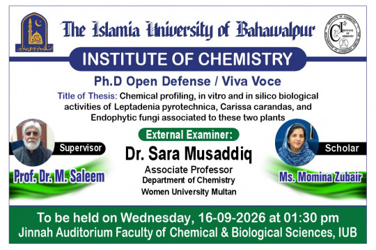PhD Open Defense at Institute of Chemistry