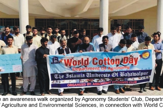 An awareness walk was organized by The Islamia University of Bahawalpur in connection with World Cotton Day