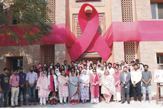Breast cancer awareness seminar was held at the Islamia University of Bahawalpur