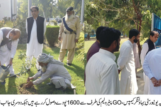 Dr. Rafaqat Ali Director IUB Bahawalnagar Campus thanked Go Petroleum for providing 1600 saplings
