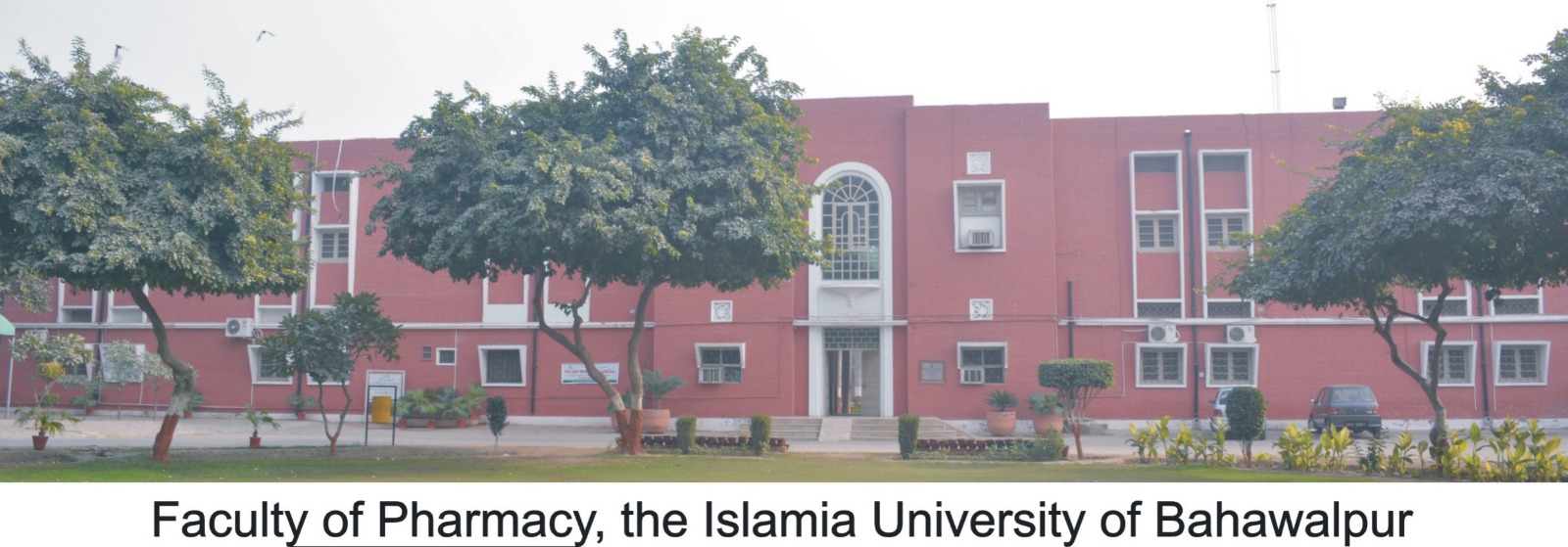 pharmacy mphil homeopathic science eng