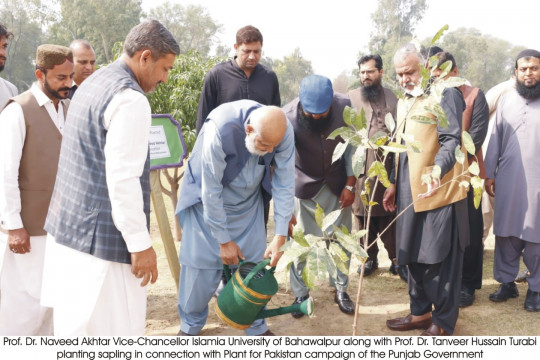 Tree plantation has started in the IUB under Plant for Pakistan campaign of Punjab government