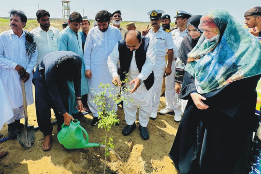 Tree plantation campaign was started at Islamia University Bahawalpur Rahim Yar Khan Campus