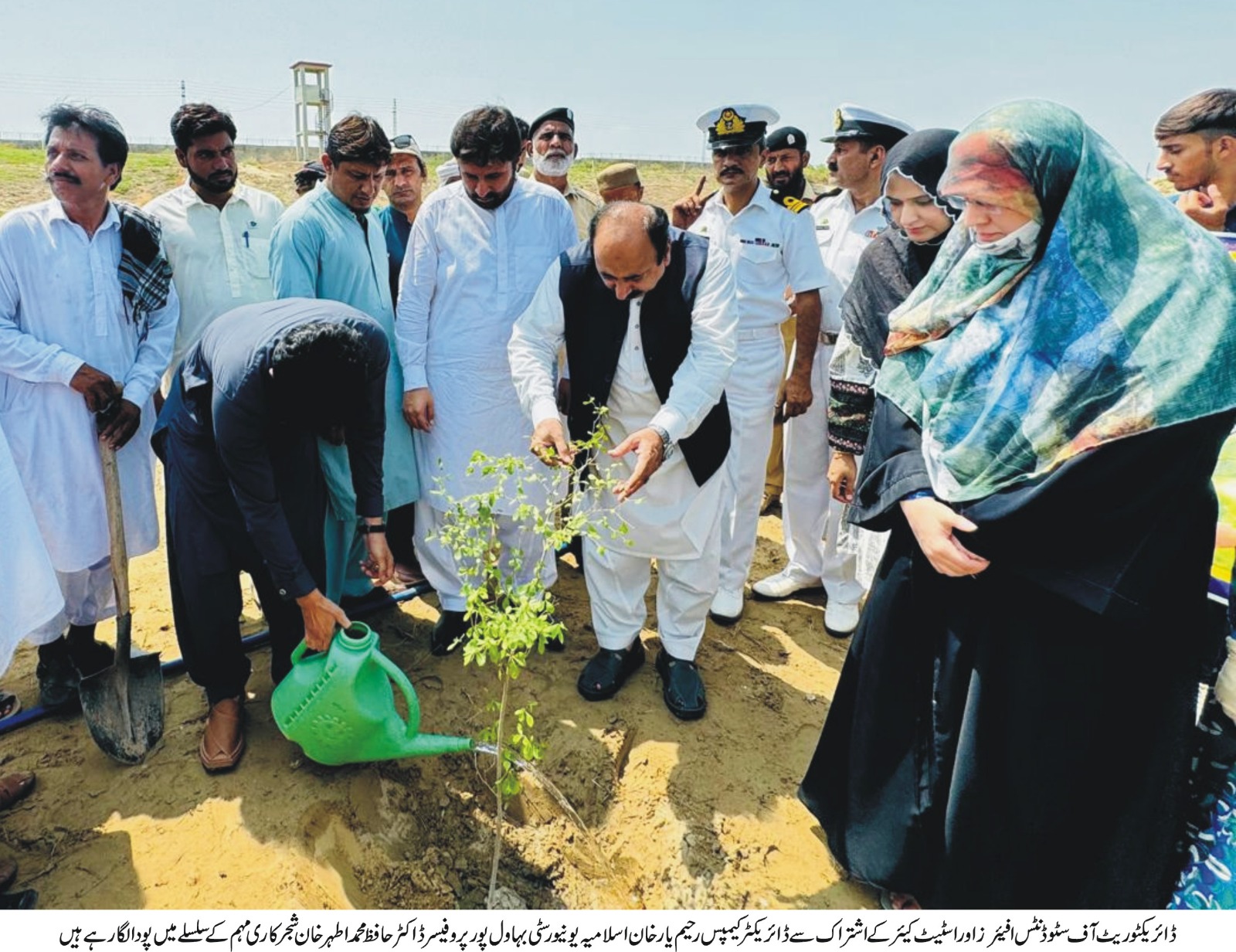 tree plant at RYK campus urdu