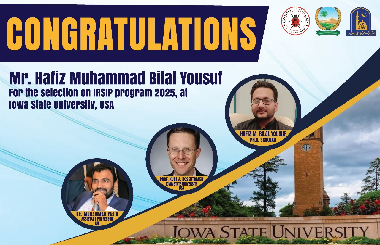 HM Bilal yusuf