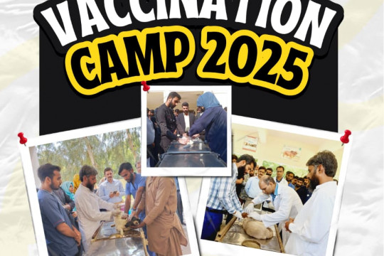 On October 29, 2025, a free rabies vaccination camp will be established at the Baghdad ul Jadeed Campus.