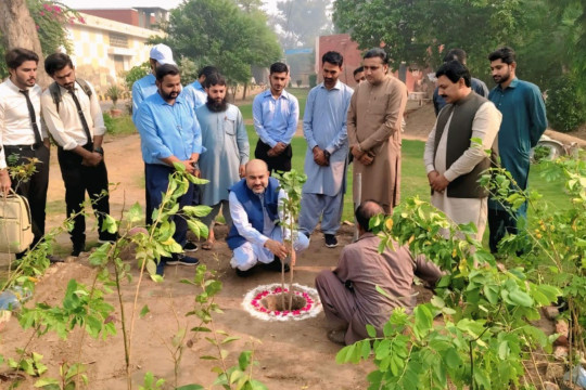 Plantation drive organized at the Islamia University of Bahawalpur, Bahawalnagar Campus.