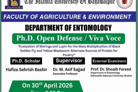 Open defense of PhD scholar Hafiza Sehrish Bashir from the Department of Entomology will be held on April 30, 2026.