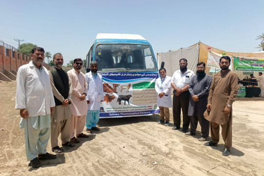 A Free Veterinary Treatment Camp was organized at Mandi Maweshian, Bahawalpur