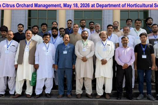Successful Farmers’ Training on Citrus Orchard Management Held at the Islamia University of Bahawalpur