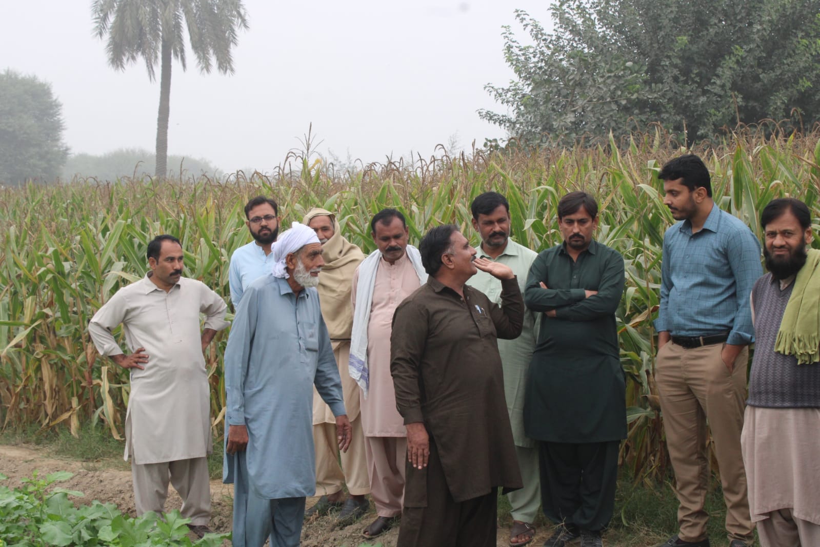 IUB conducted a seminar in Thesil Khairpur Tamawali, District Bahawalpur in observance of Farmers Field Day 2024