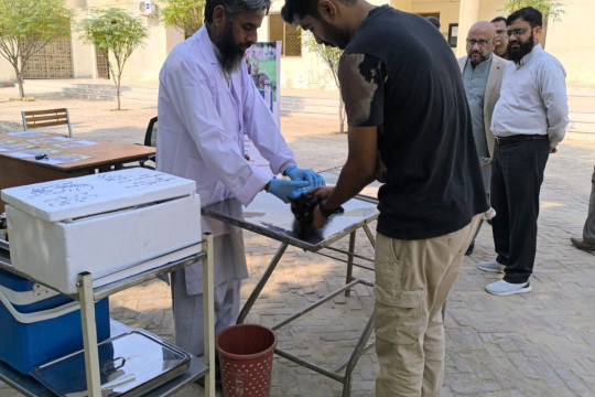 IUB and Prix Pharmaceutica organized a free rabies vaccination camp for pets at the Veterinary Clinic.