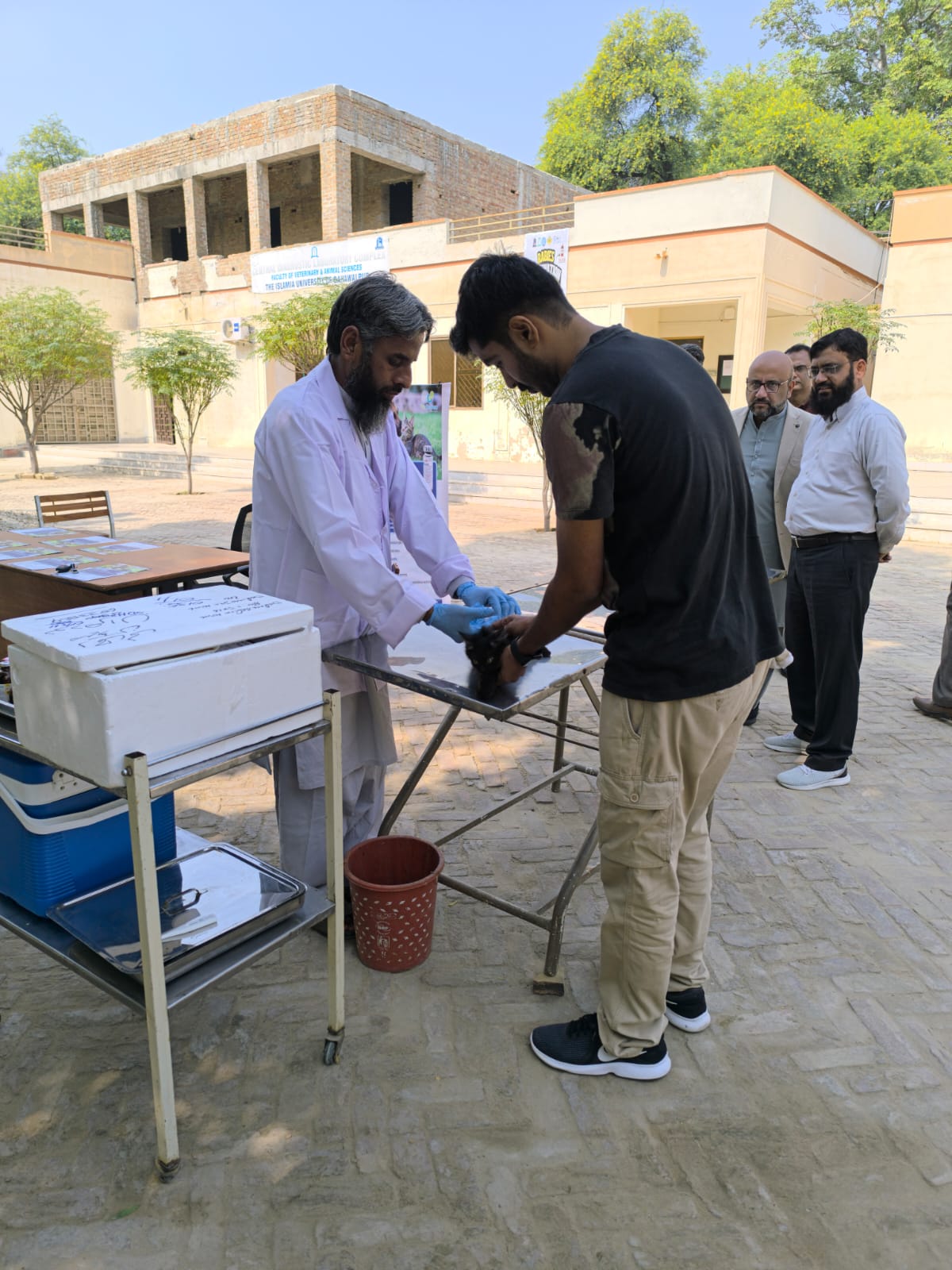 IUB and Prix Pharmaceutica organized a free rabies vaccination camp for pets at the Veterinary Clinic.