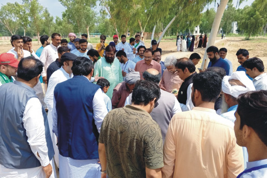 Monsoon tree planting activity was organized at IUB Bahawalnagar Campus