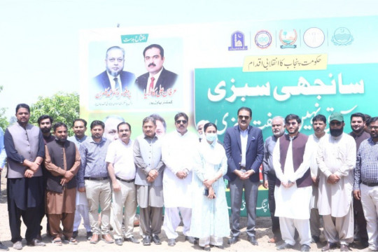 Punjab CM Maryam Nawaz Sharif's Welfare Initiative Sanjhi Sabzi - Muft Sabzi, vegetable cultivation started in the IUB.