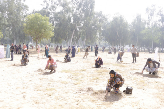 A joint plantation drive was organized at IUB in collaboration with the Farmers Development Organization (FDO).