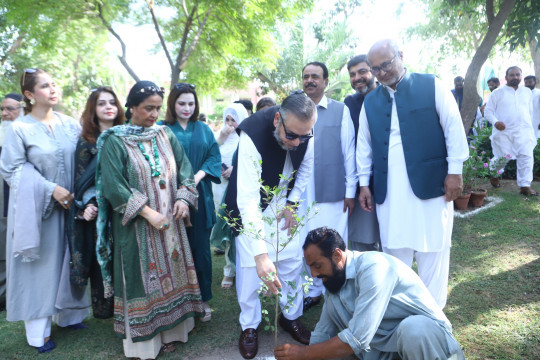 Tree plantation at The Islamia University of Bahawalpur on the occasion of Pakistan's 79th Independence Day
