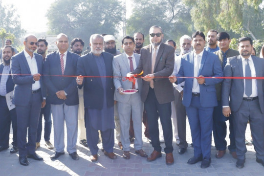 World Soil Day 2024 ceremony organized at the Faculty of Agriculture and Environment, Islamia University of Bahawalpur