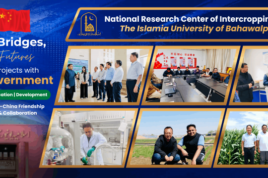 National Research Center of Intercropping, IUB