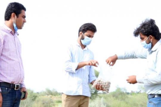 IUB CIDS faculty and students participate in seeds dispersal plantation drive in Cholistan Desert