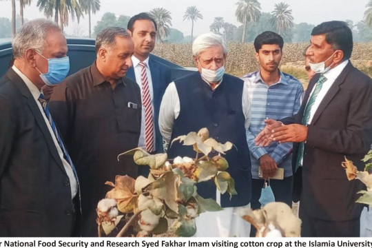 Federal Minister National Food Security and Research Visit IUB Cotton Fields