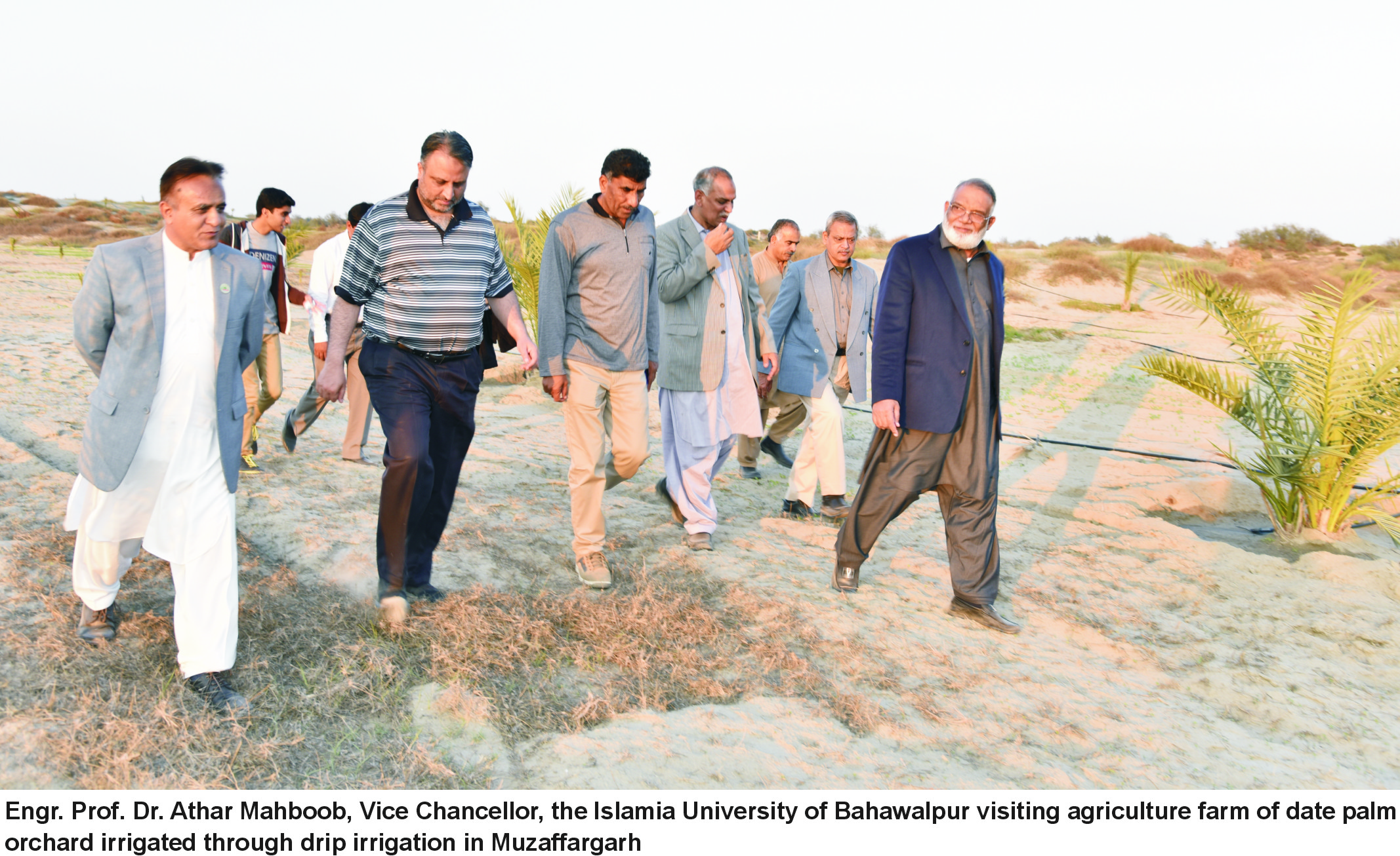 VC Visit Date Palm Agriculture Farm