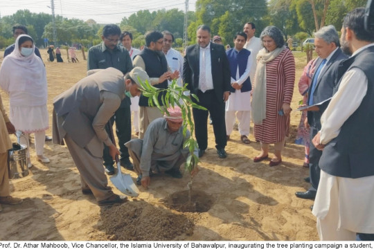 A Student, A Tree campaign has been launched at the Islamia University of Bahawalpur