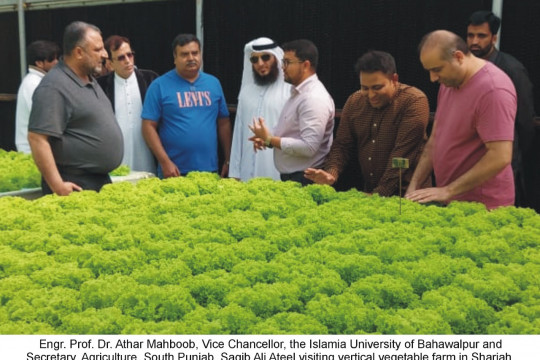 Vice Chancellor IUB along with Secretary Agriculture South Punjab visits Dubai Expo 2020