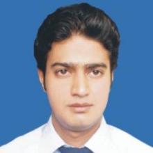 M. Taimoor Hassan